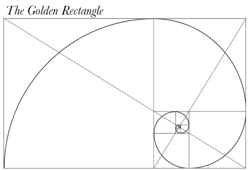 spiraling portions of a plant