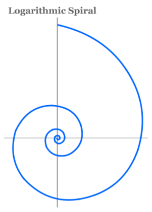 Logarithmic Spiral