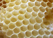 honeycomb